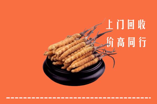 高价求购：石阡县回收散虫草