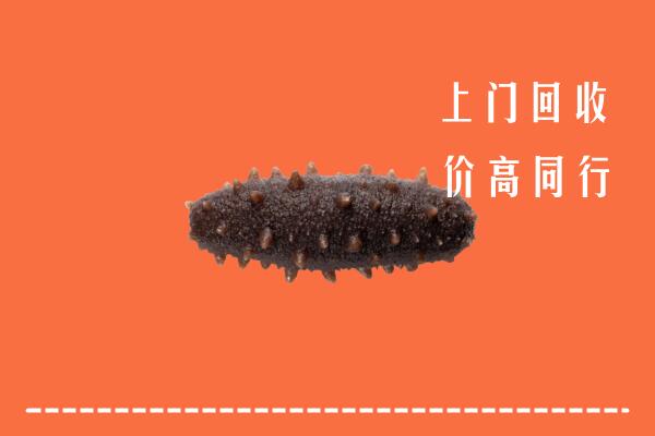 石阡县回收海参
