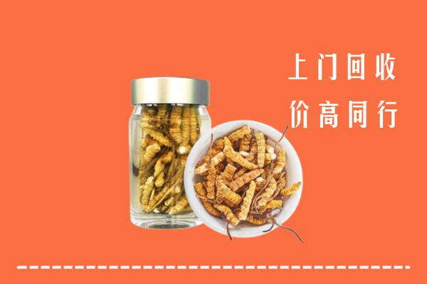 收购行情：石阡县回收冬虫夏草